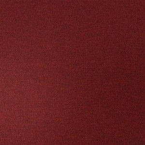 300DL Cationic bordo flat